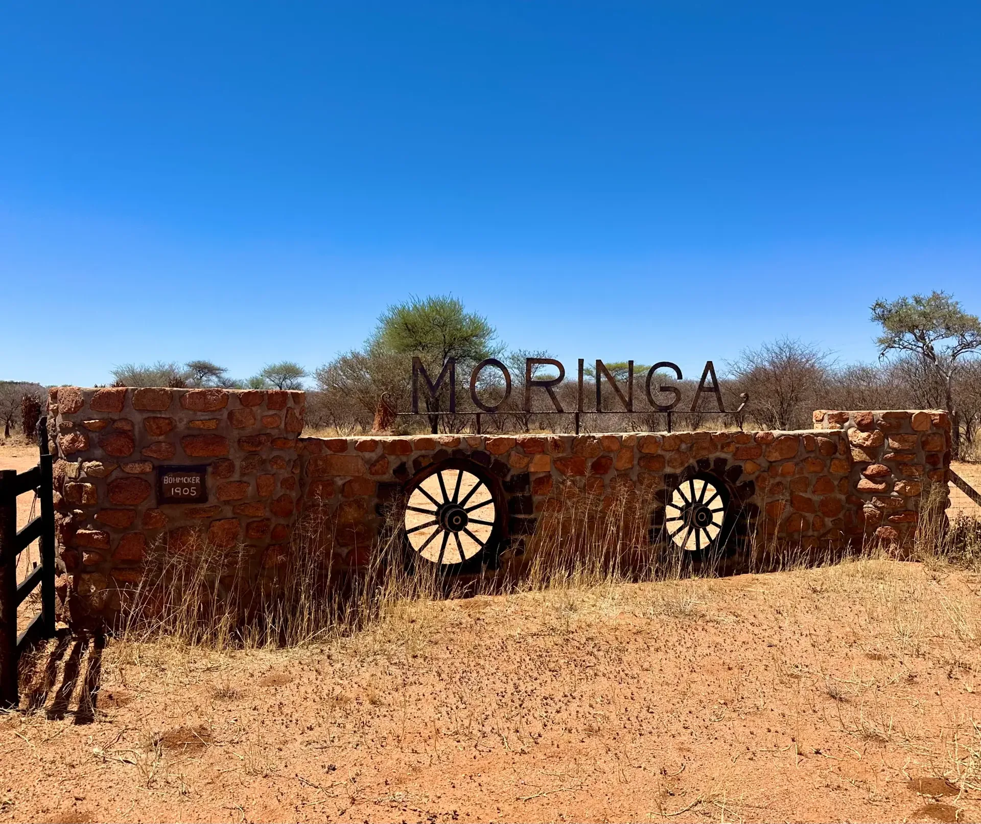 Moringa Farm Entrance