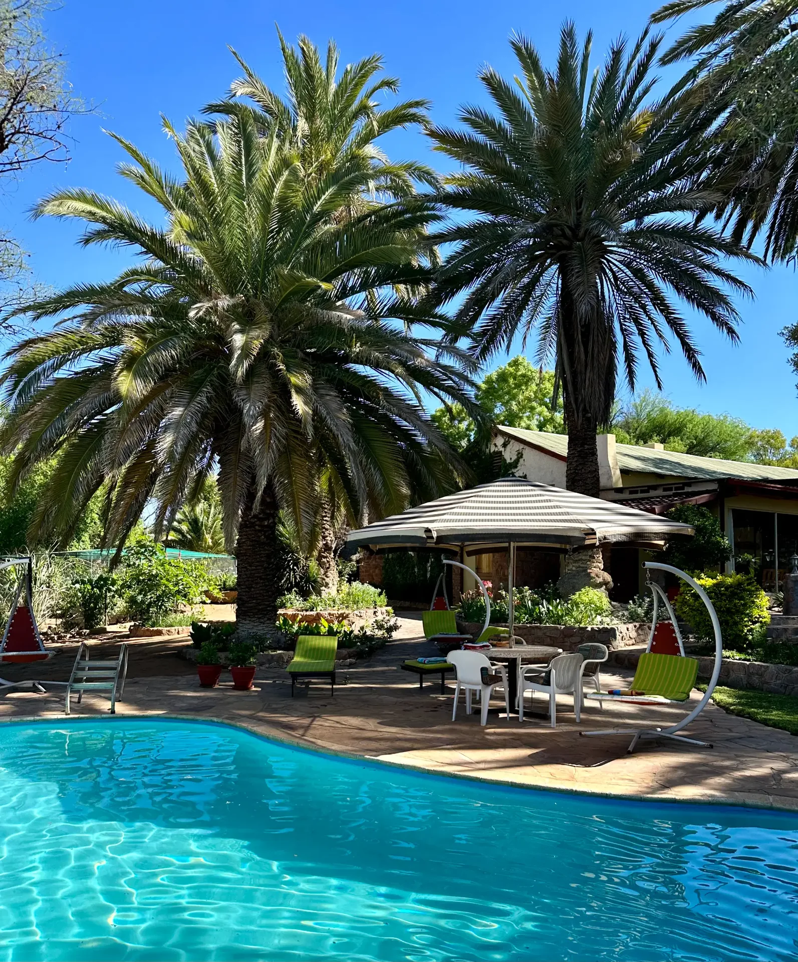 Swimming Pool View