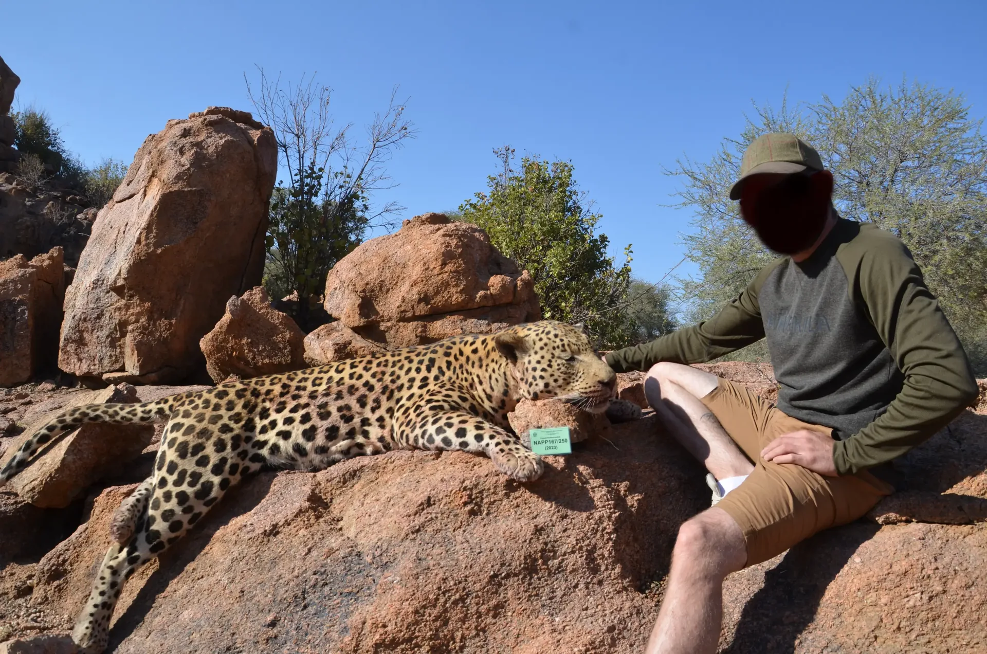 Moringa Hunting Adventure