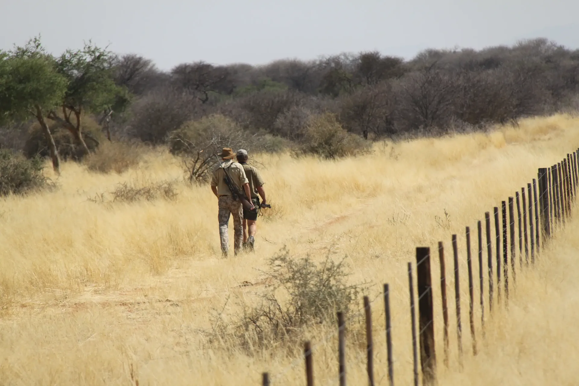 Moringa Hunting Adventure