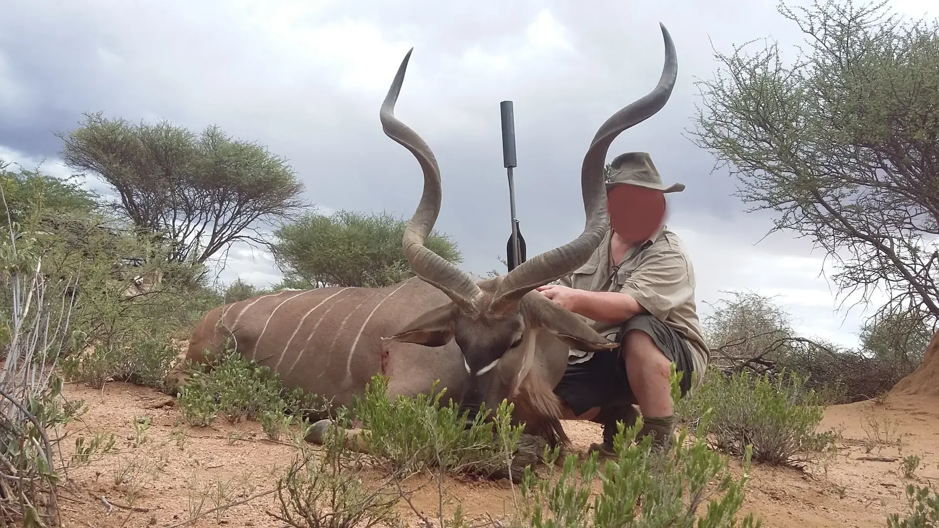Moringa Hunting Adventure