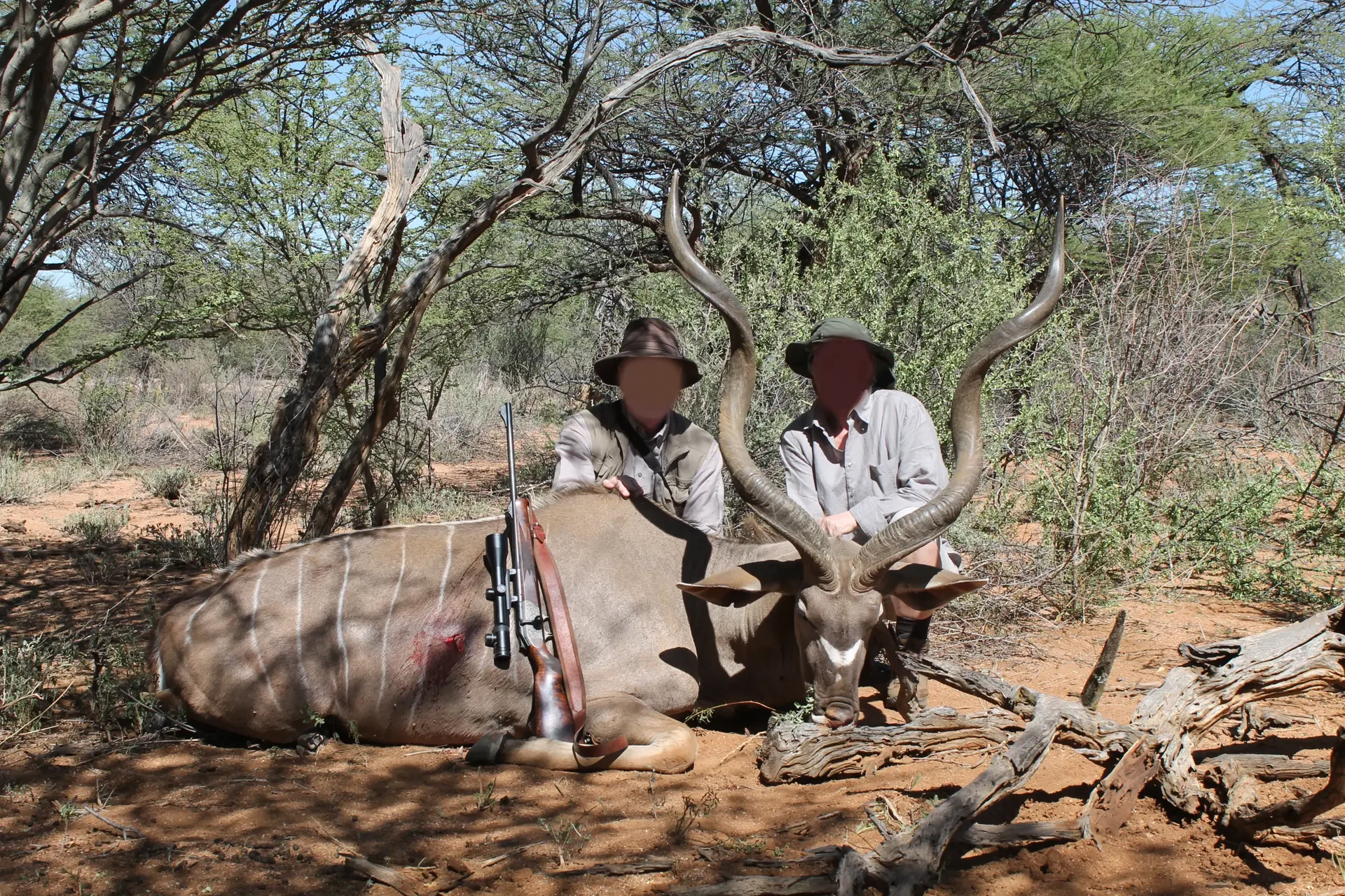 Moringa Hunting Adventure