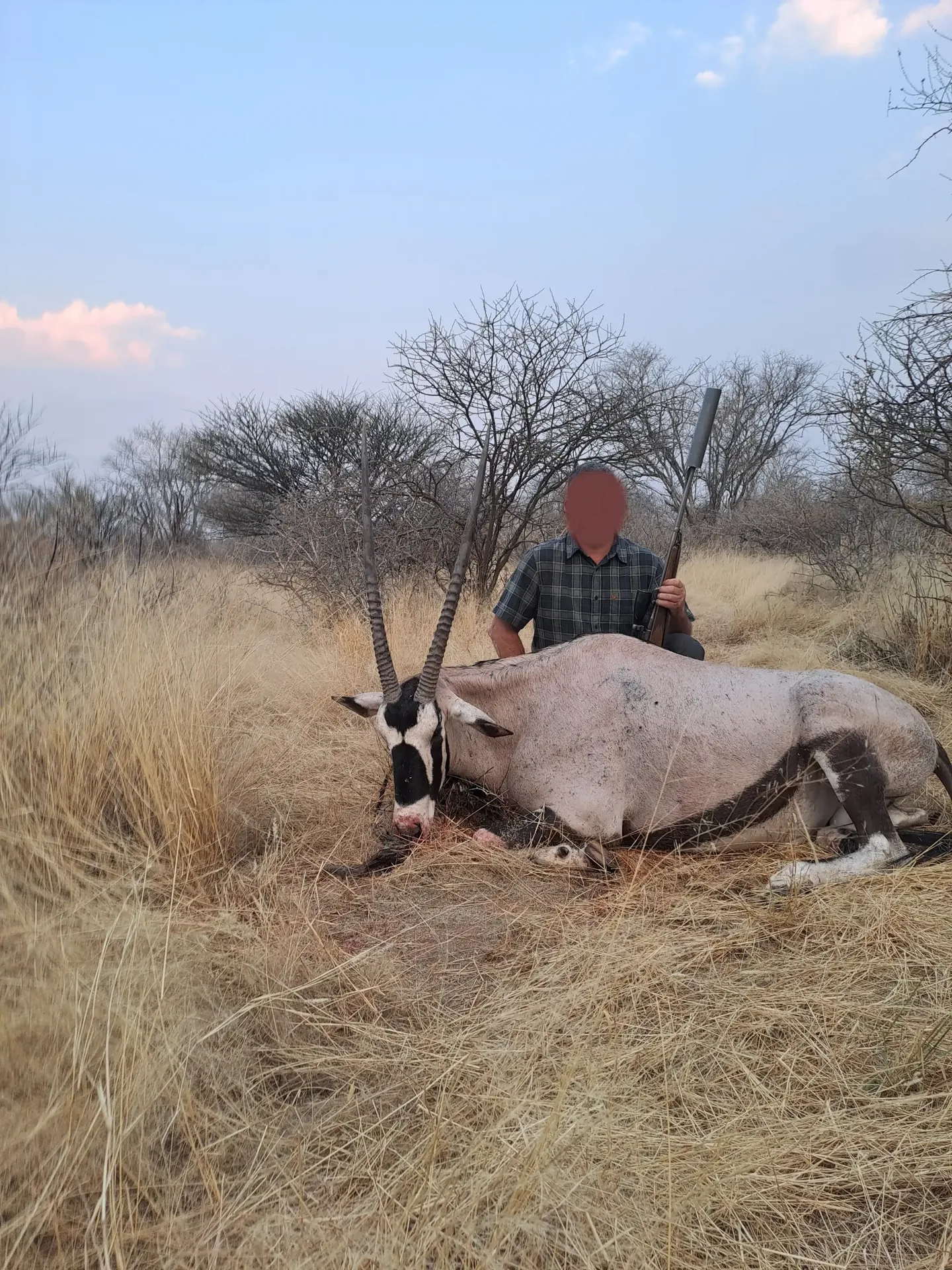 Moringa Hunting Adventure