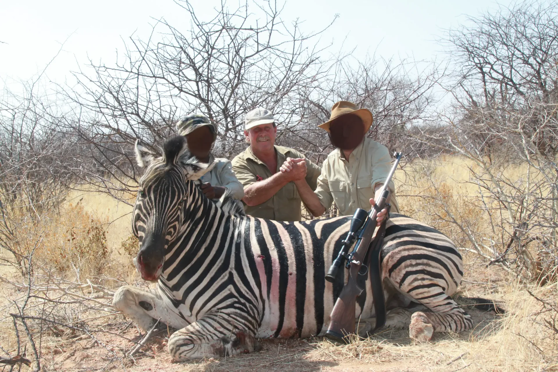 Moringa Hunting Adventure