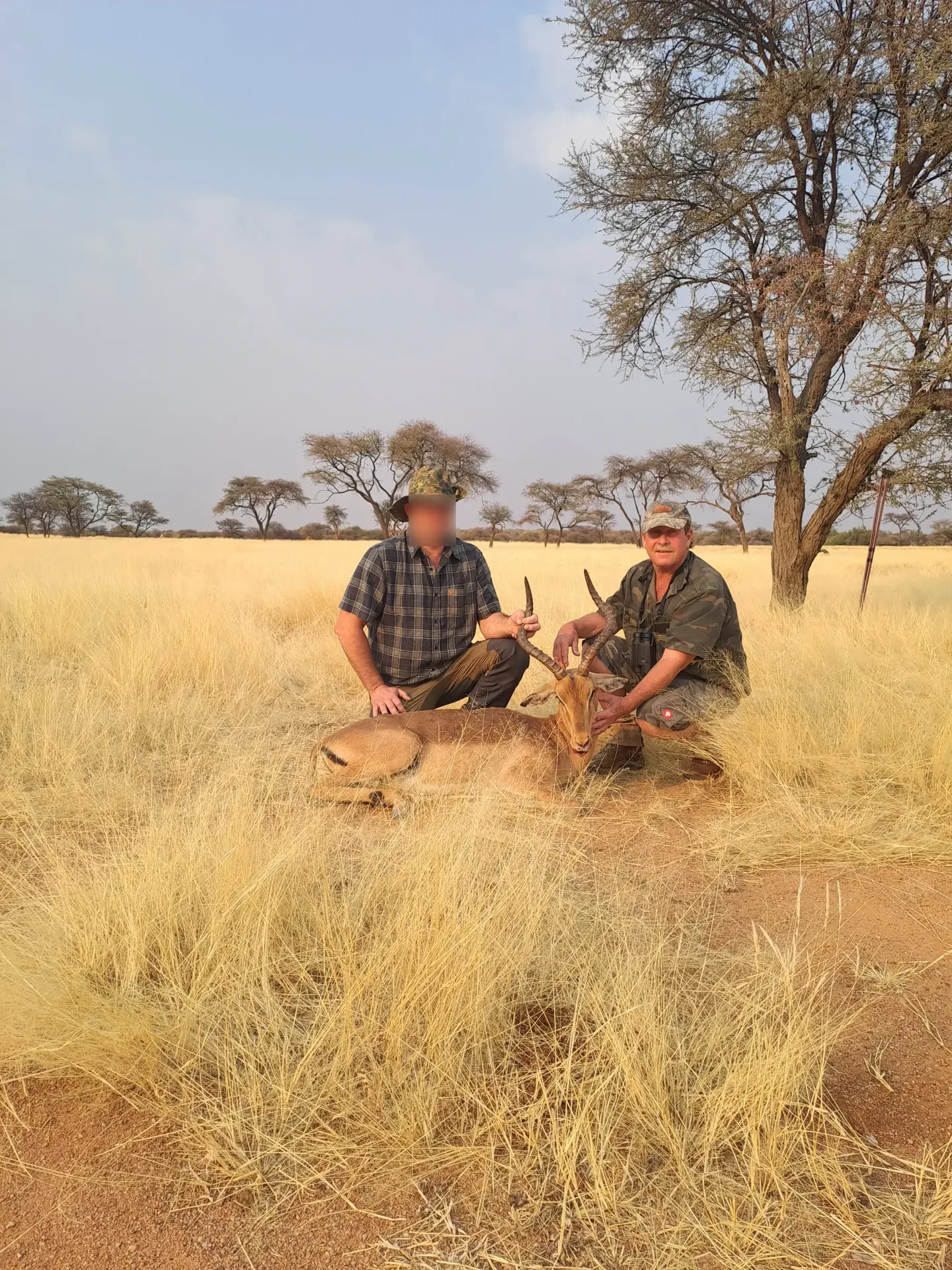 Moringa Hunting Adventure