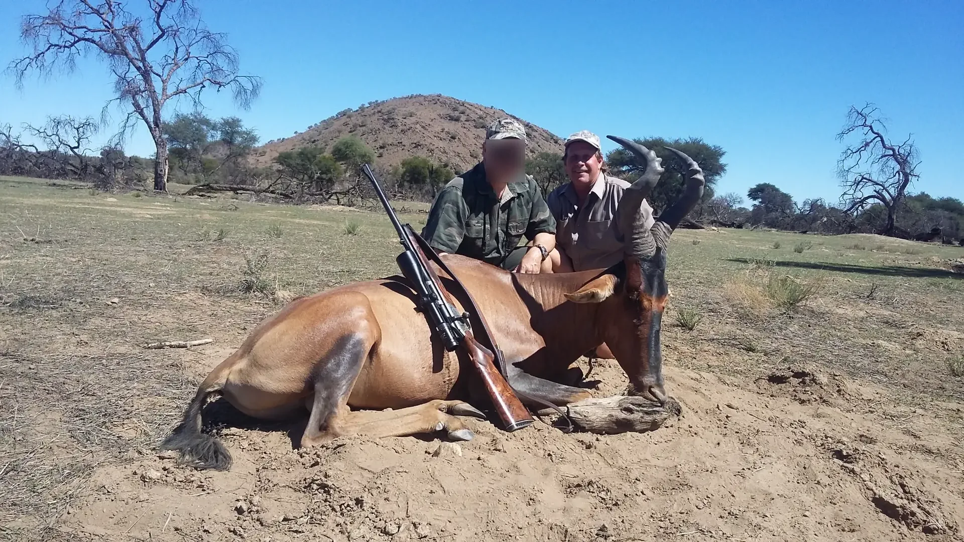 Moringa Hunting Adventure