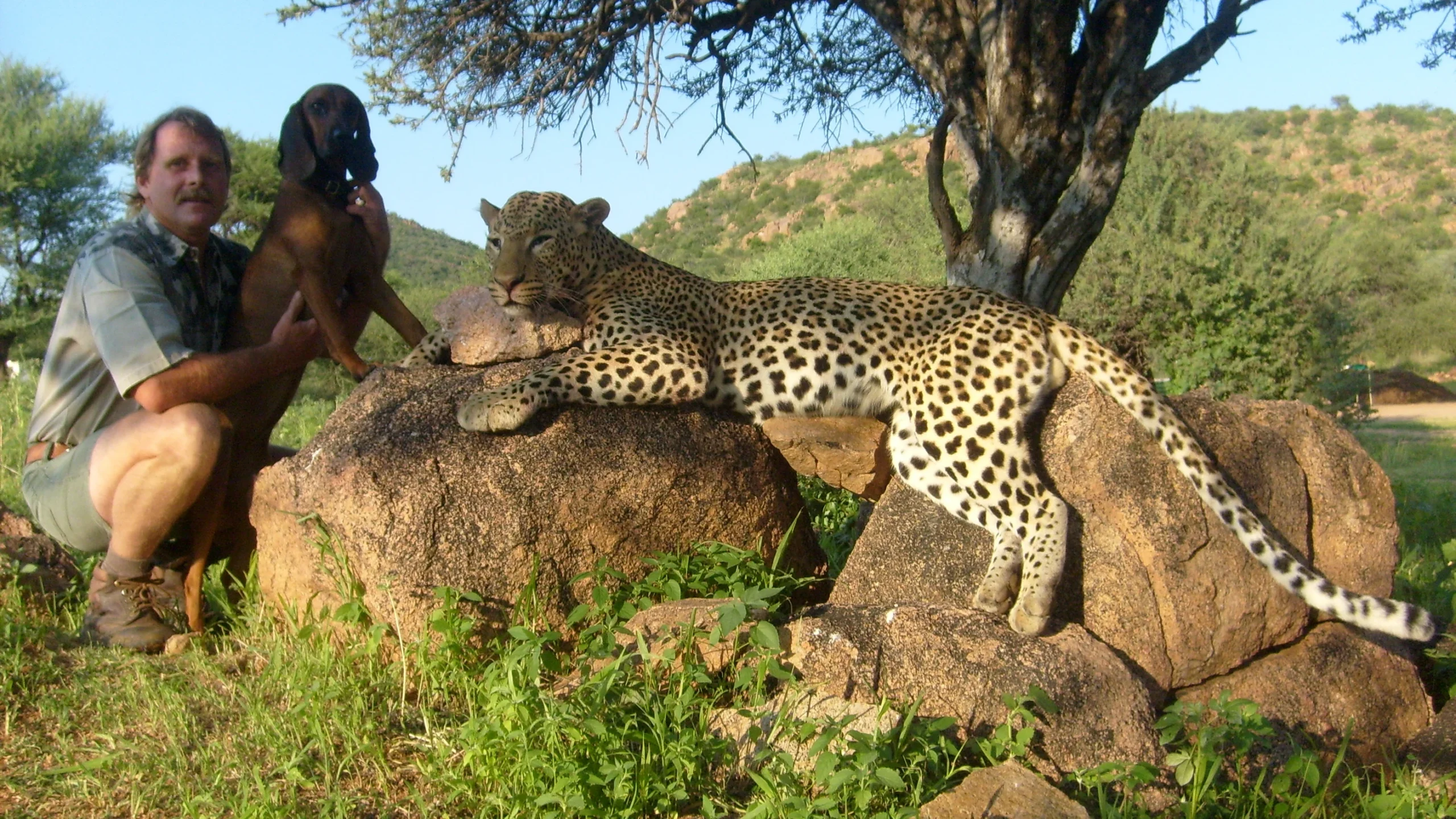 Moringa Safaris Leopard Hunt