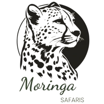 Moringa Safaris Logo