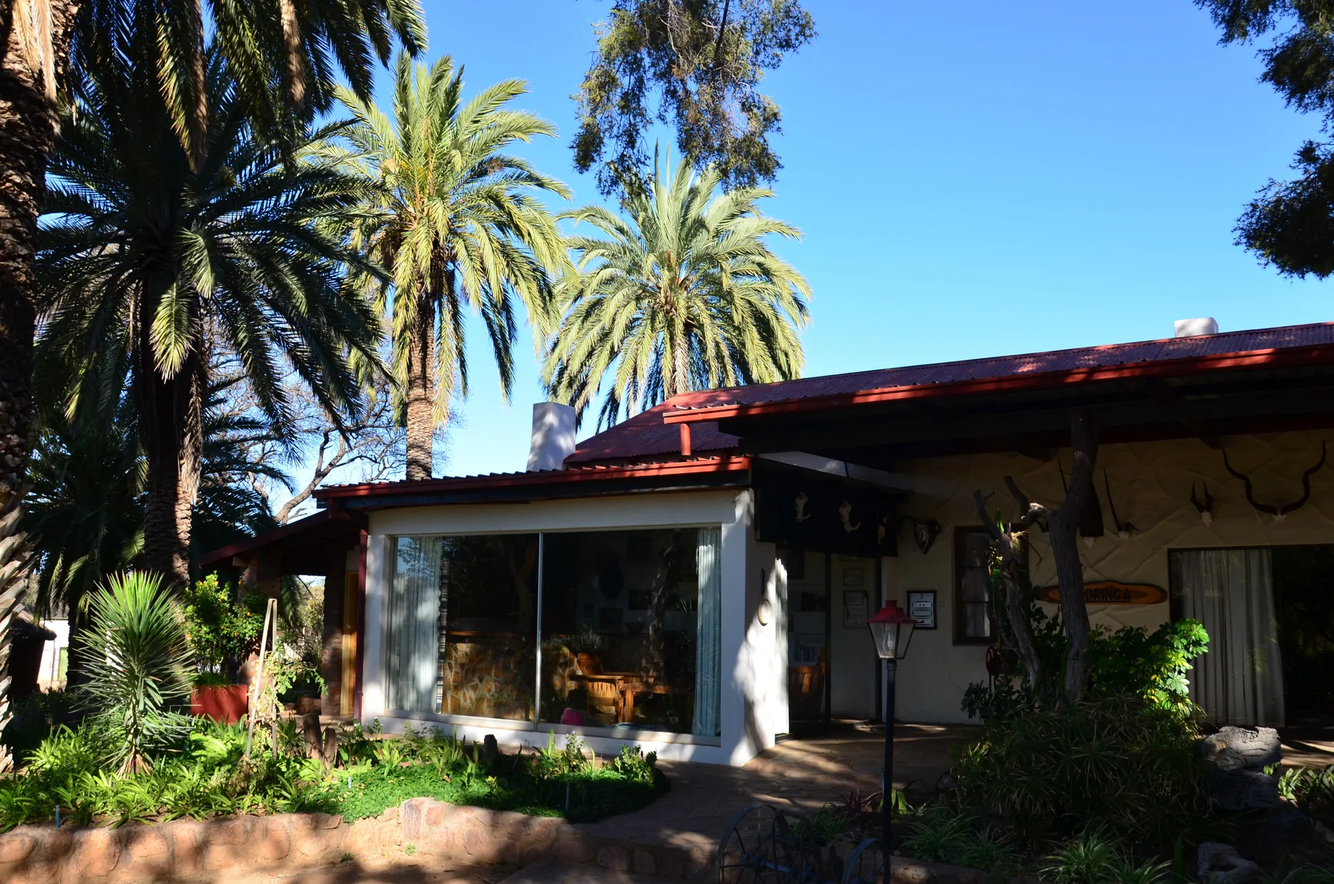 Moringa Lodge Wildlife 06