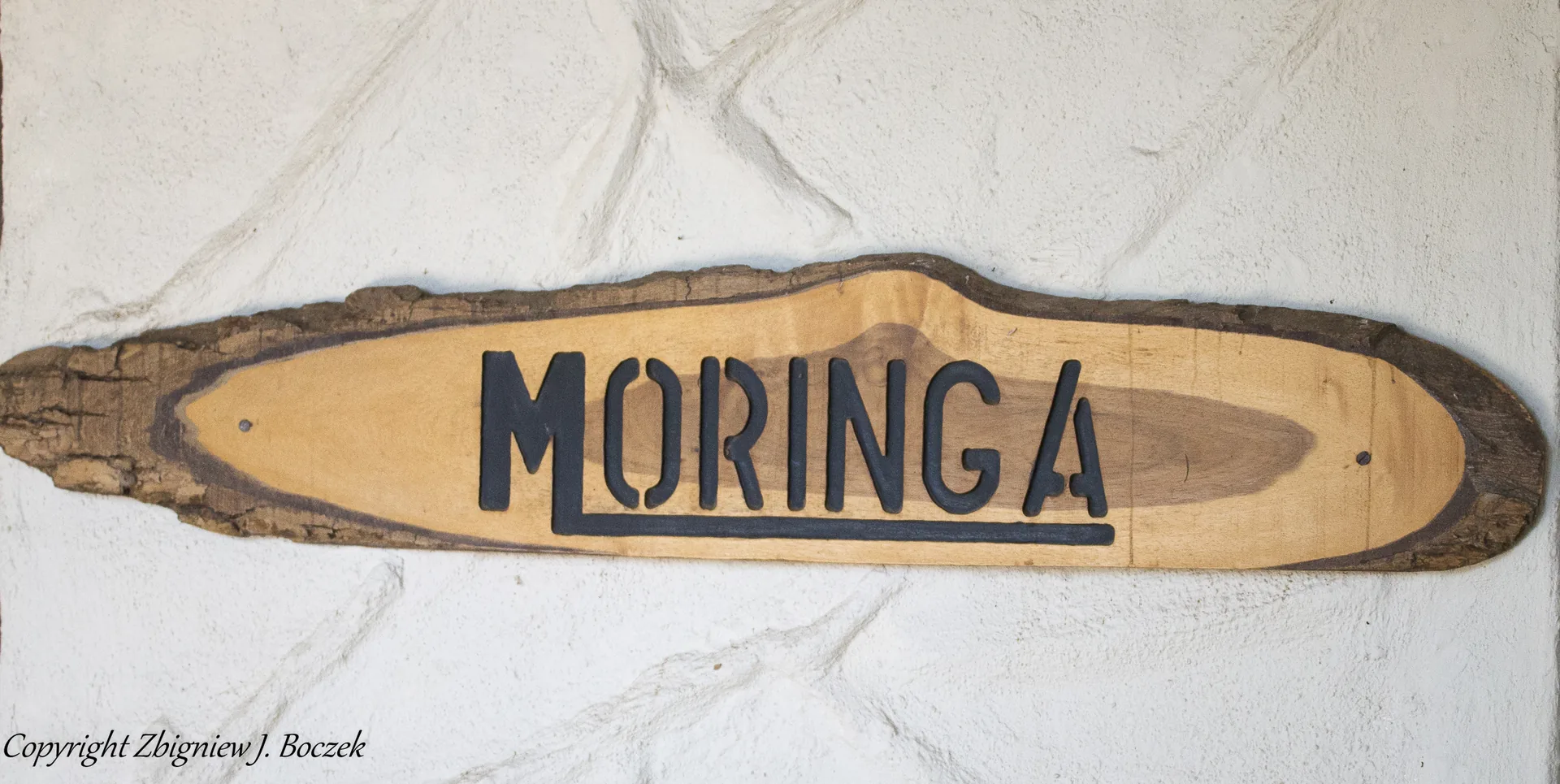 Moringa Lodge Wildlife 07
