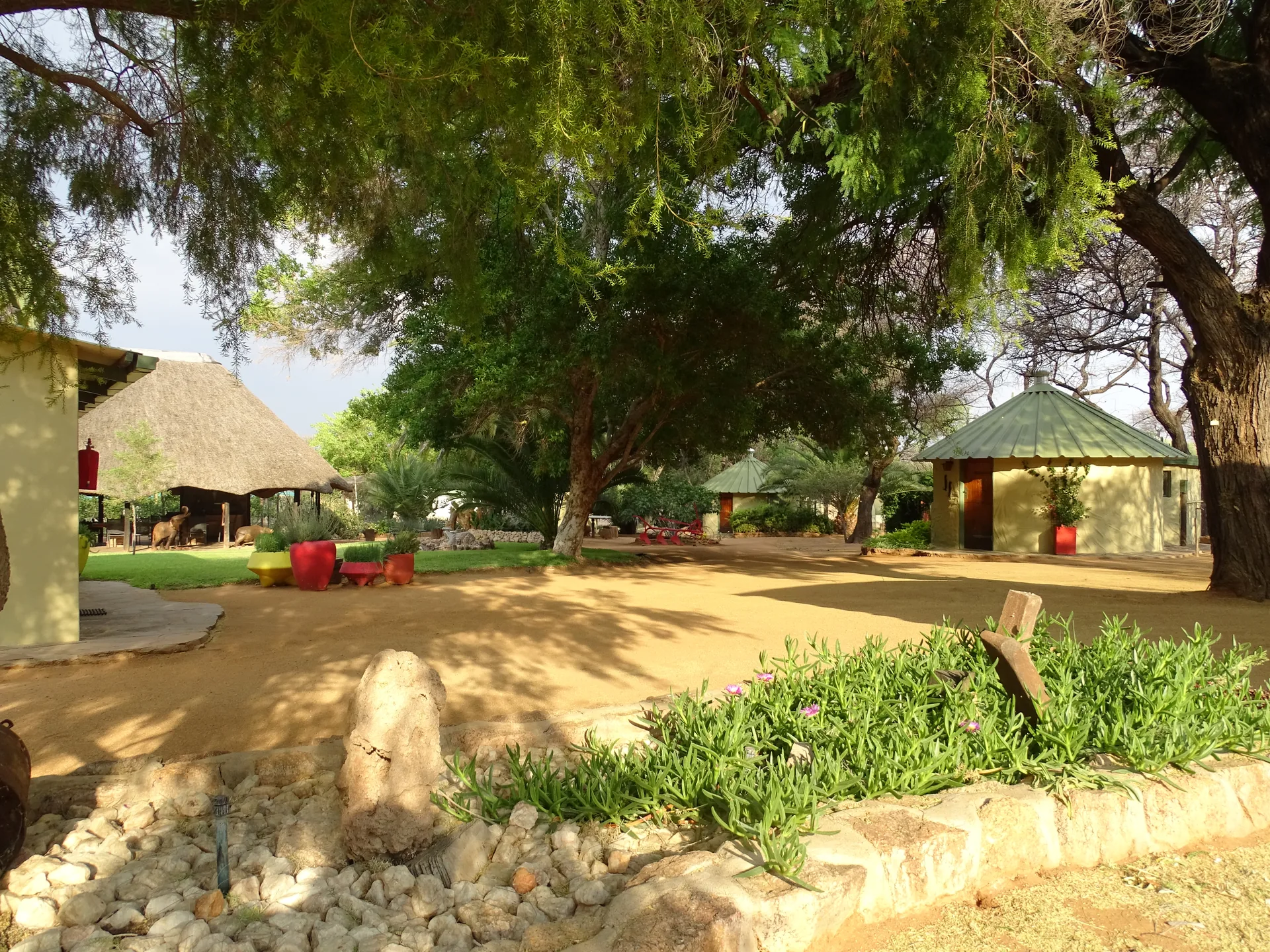 Moringa Lodge Wildlife 09