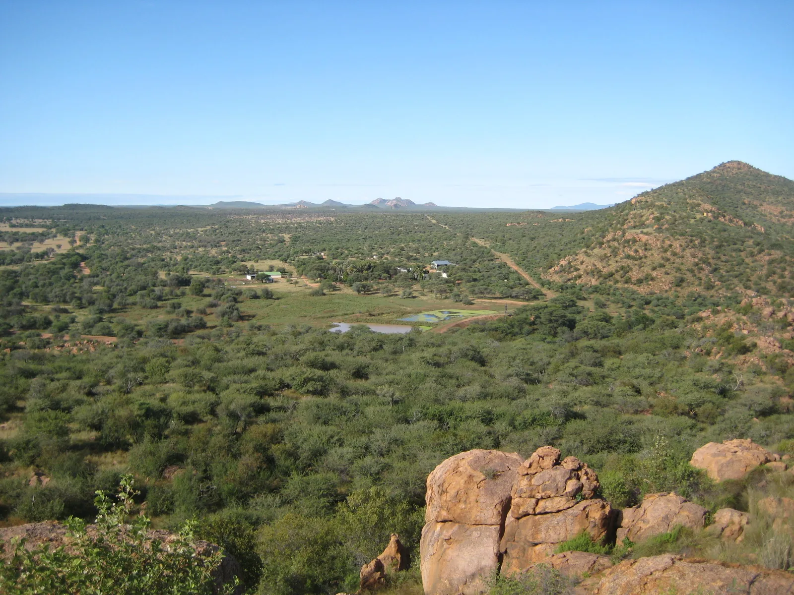 Moringa Lodge Wildlife 13